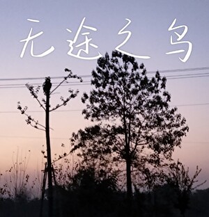 无途之鸟