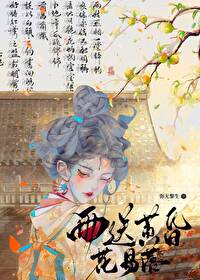雨送黄昏花易落完整版