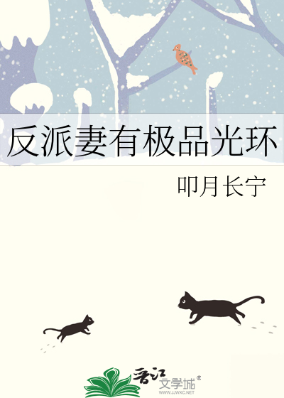 反派老婆小说