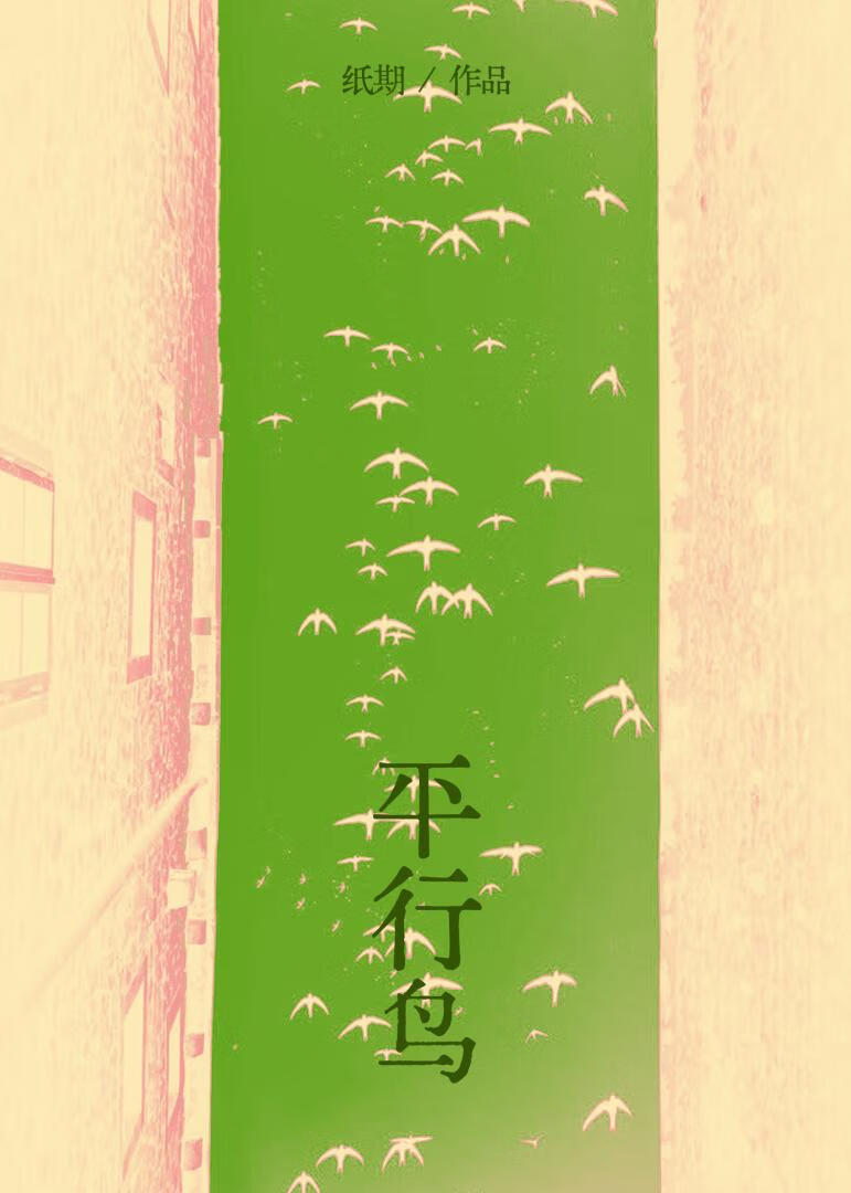 平行鸟批发市场联系方式