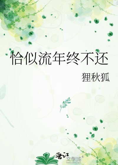 恰似流年终不还