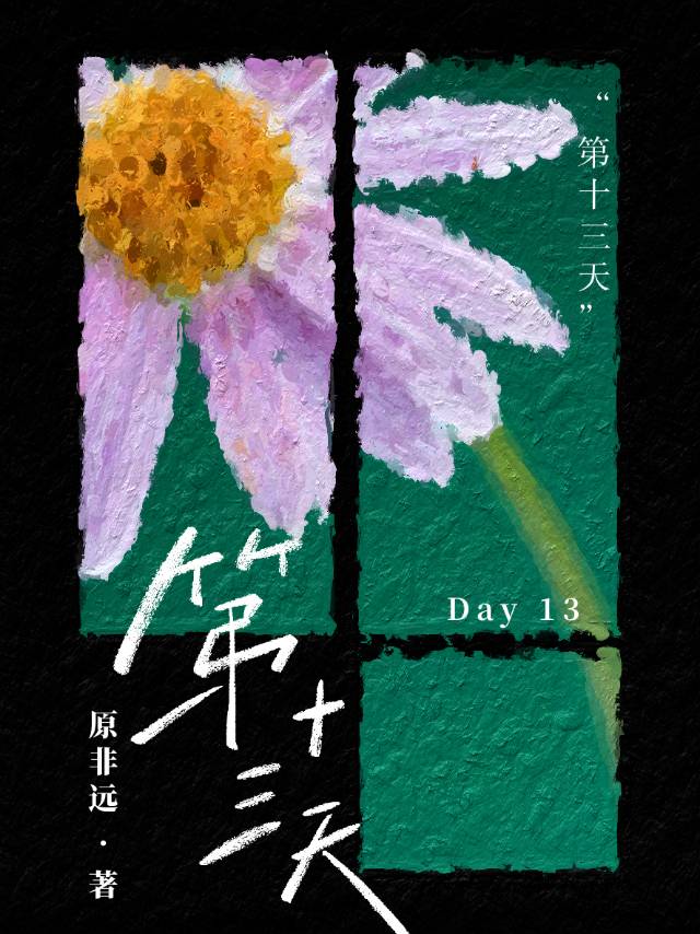 第十三天没有优势卵泡