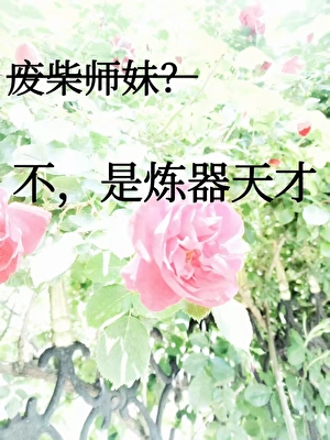 废柴师妹？不，是炼器天才
