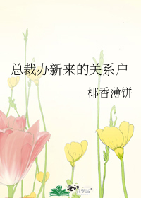总裁办新来的关系户小说推荐