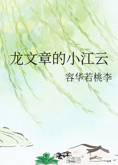 龙文章的小江云