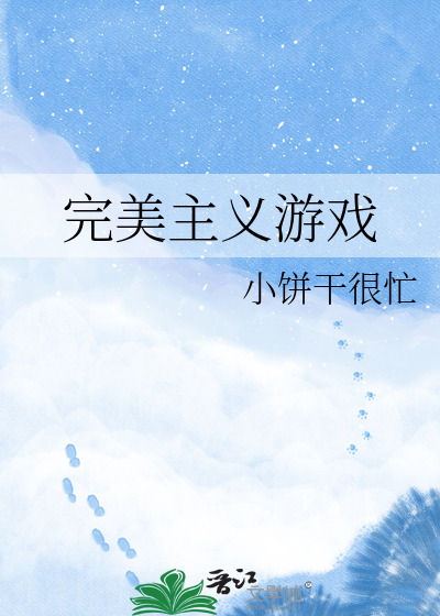 完美主义游戏