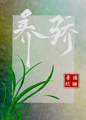 认清前夫我狠狠宠了死对头
