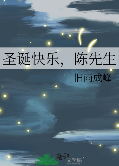 圣诞快乐，陈先生