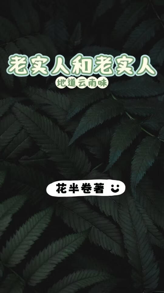 老实人和老实人