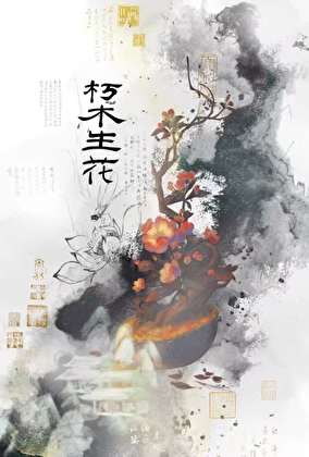 朽木生花
