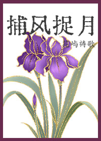 捕风捉月