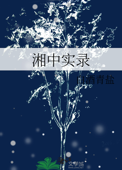 湘中作阅读答案