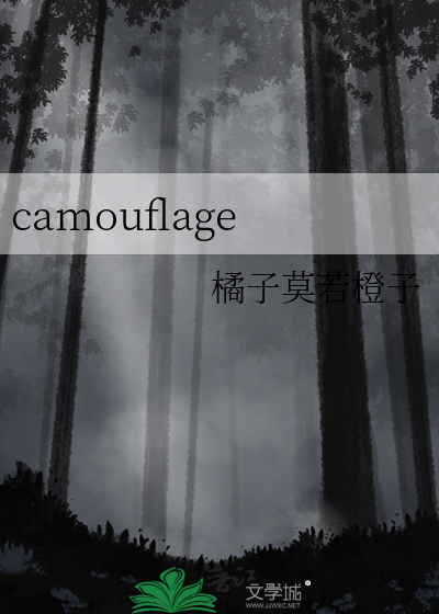 camouflage怎么读音