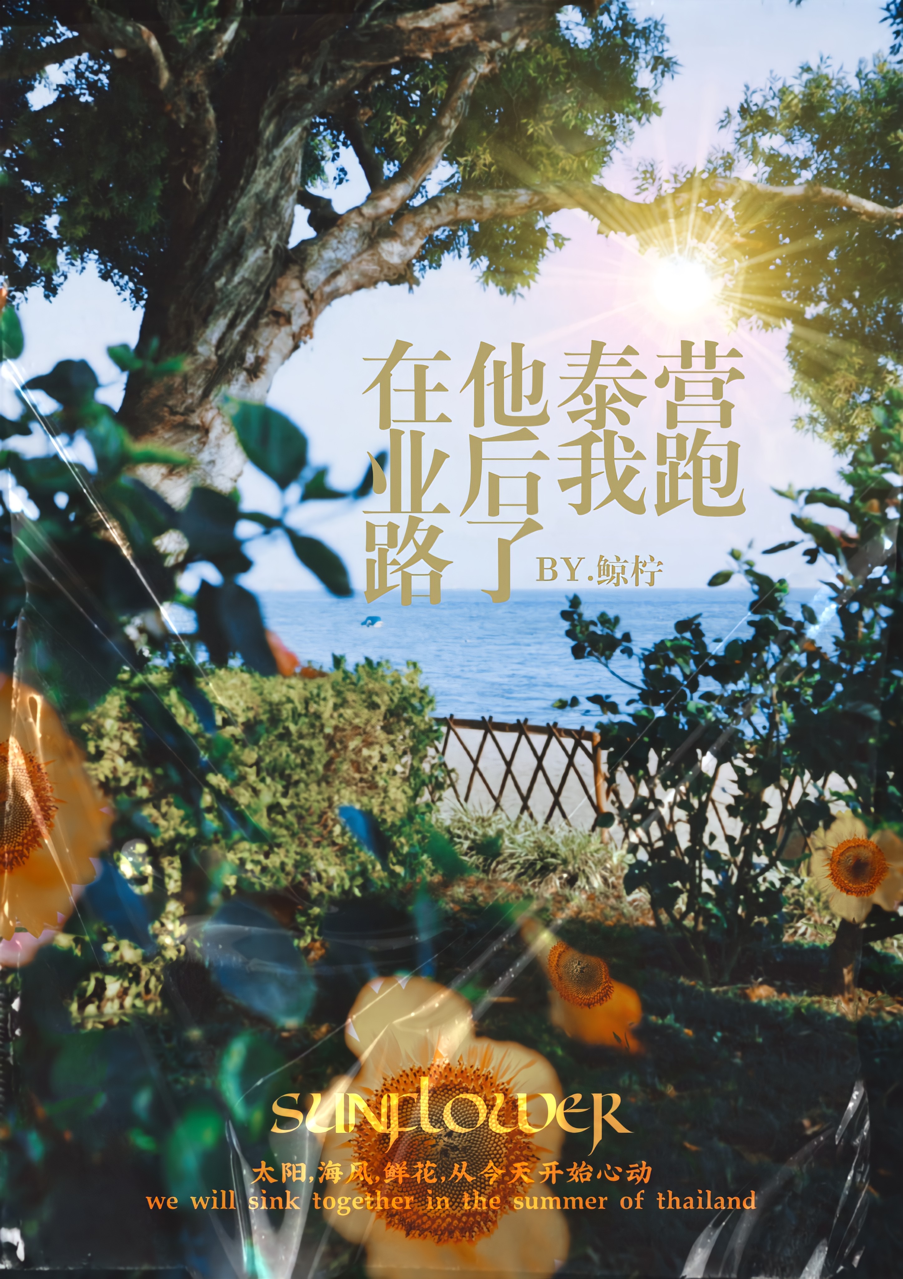 他泰首a