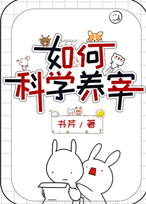 提灯而来的夜