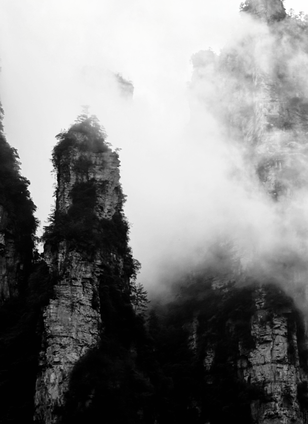 绿茶皇帝总想倒插门