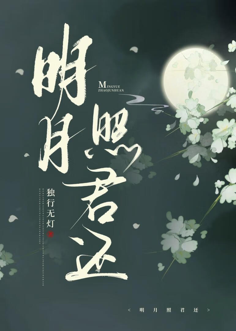 枫汐之遇