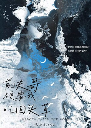 被你拾起的大半生