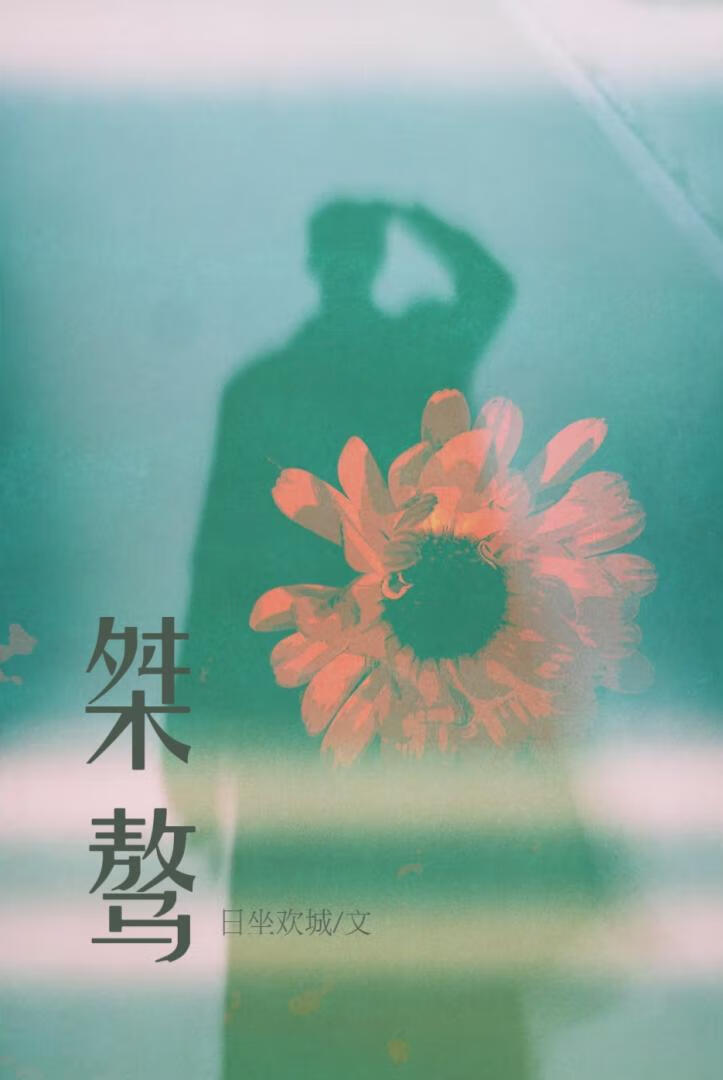 空降出道后我成了TOP