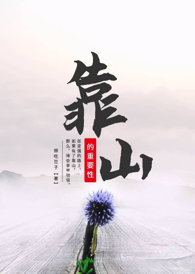 越过时空，反攻略手册