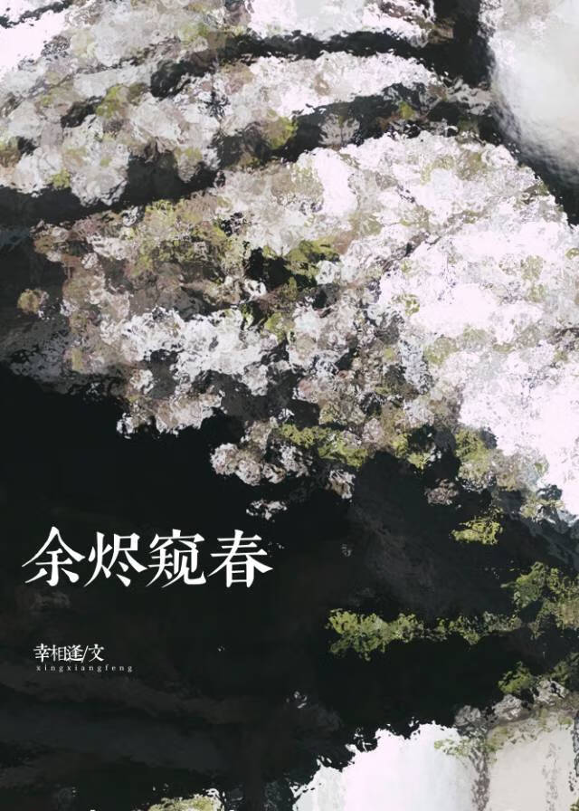 我，挡箭牌，打钱！［重生］