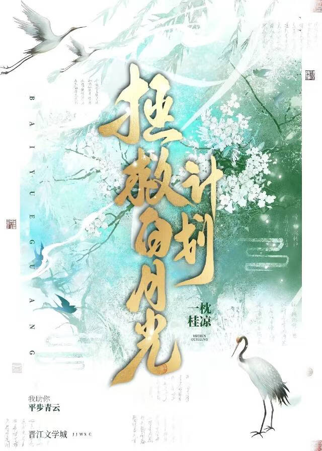猫是人间的龙