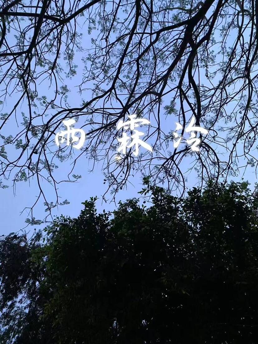 他心属我