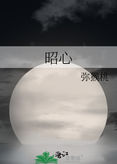 昭心可见