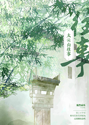 酸葚