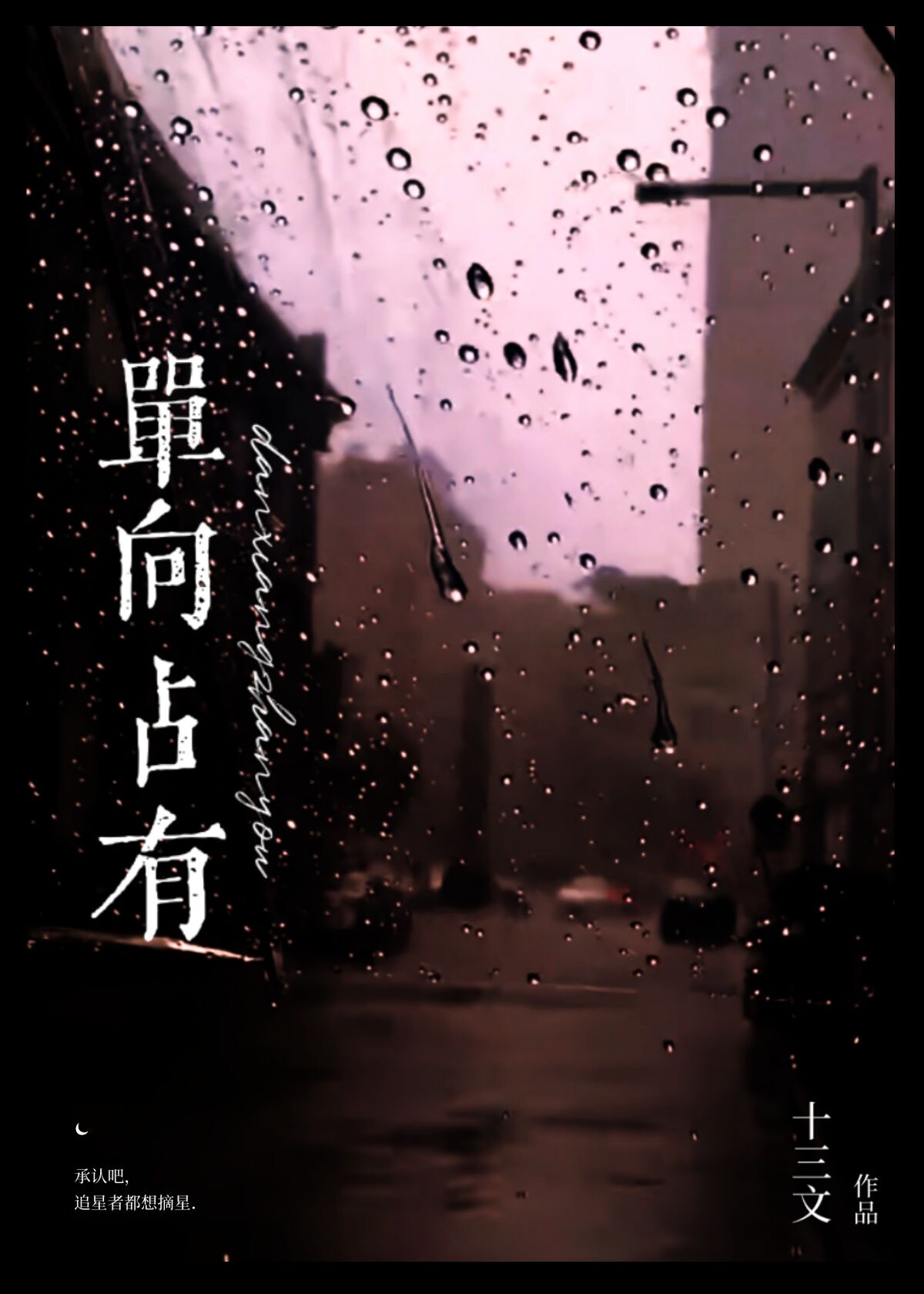 双向占有