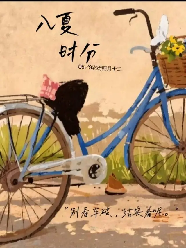 春风沉醉的夜晚