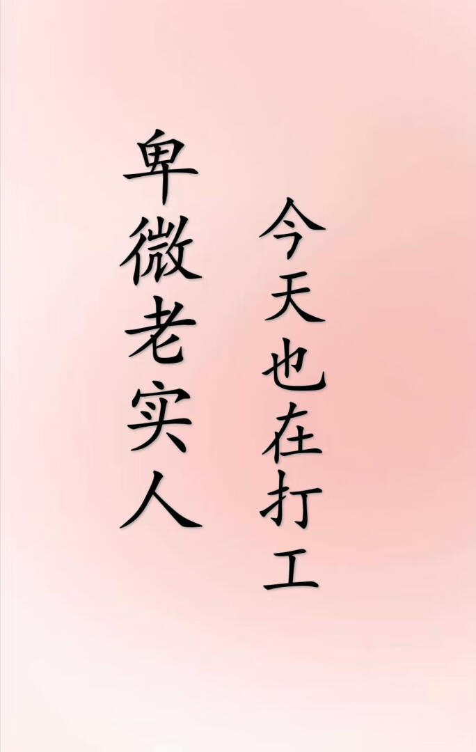 陛下何日退休搞C