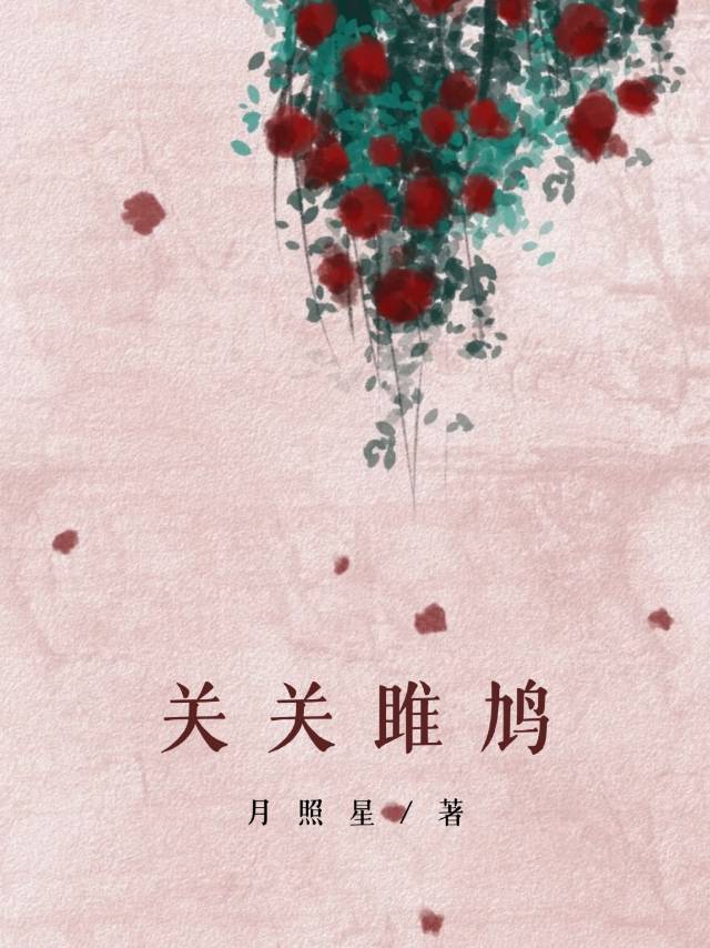 总有人想攻略朕 小说
