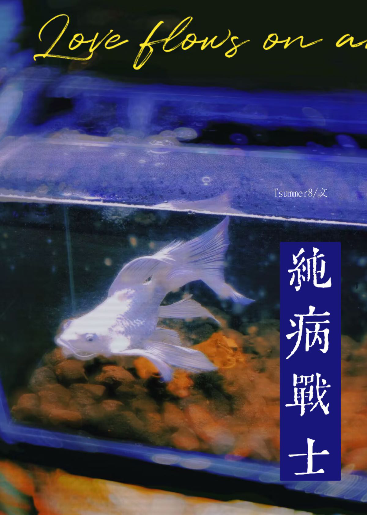 乌泥于冬