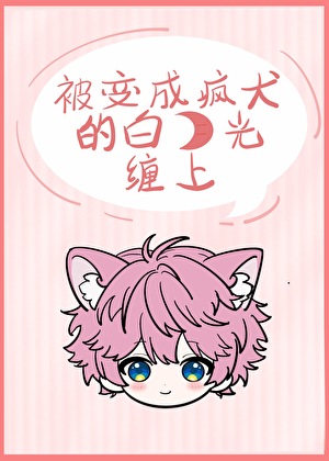 星际律师 全文免费阅读