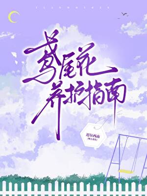 采访：伟大航路之惊天隐秘